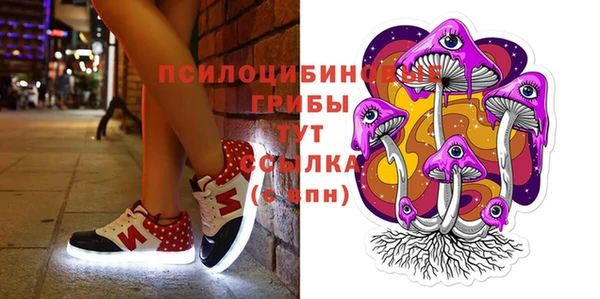 гашик Армянск