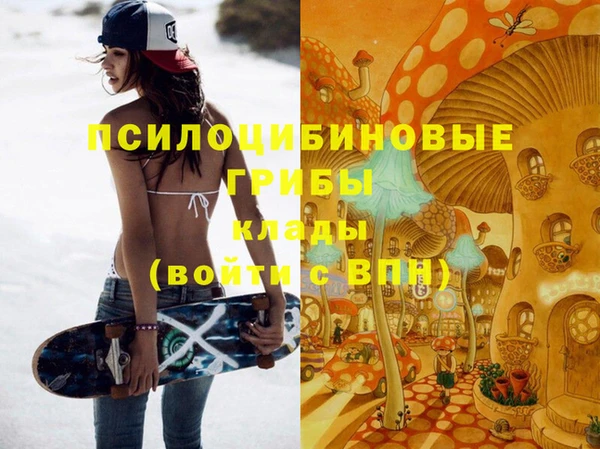 гашик Армянск