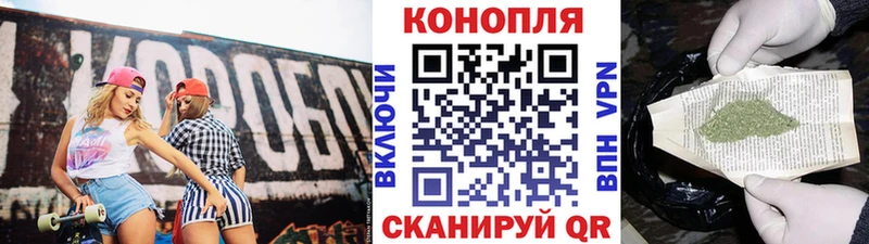 Купить закладки Советск Бошки марихуана конопля